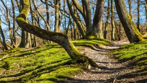 Outdoor Activities in Greenwood, IN