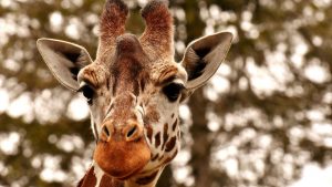 Outdoor Activities in Greenwood, IN