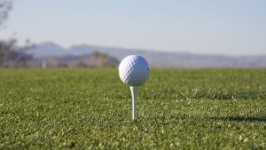 End Summer at a Park in Greenwood, IN