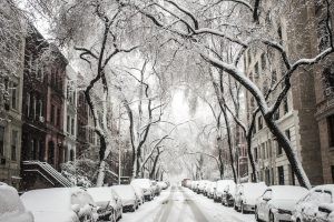 Street With Cars With Snow