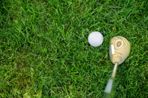Golf Club and Golf Ball on Grass