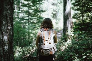 Woman Hiking in a Forest