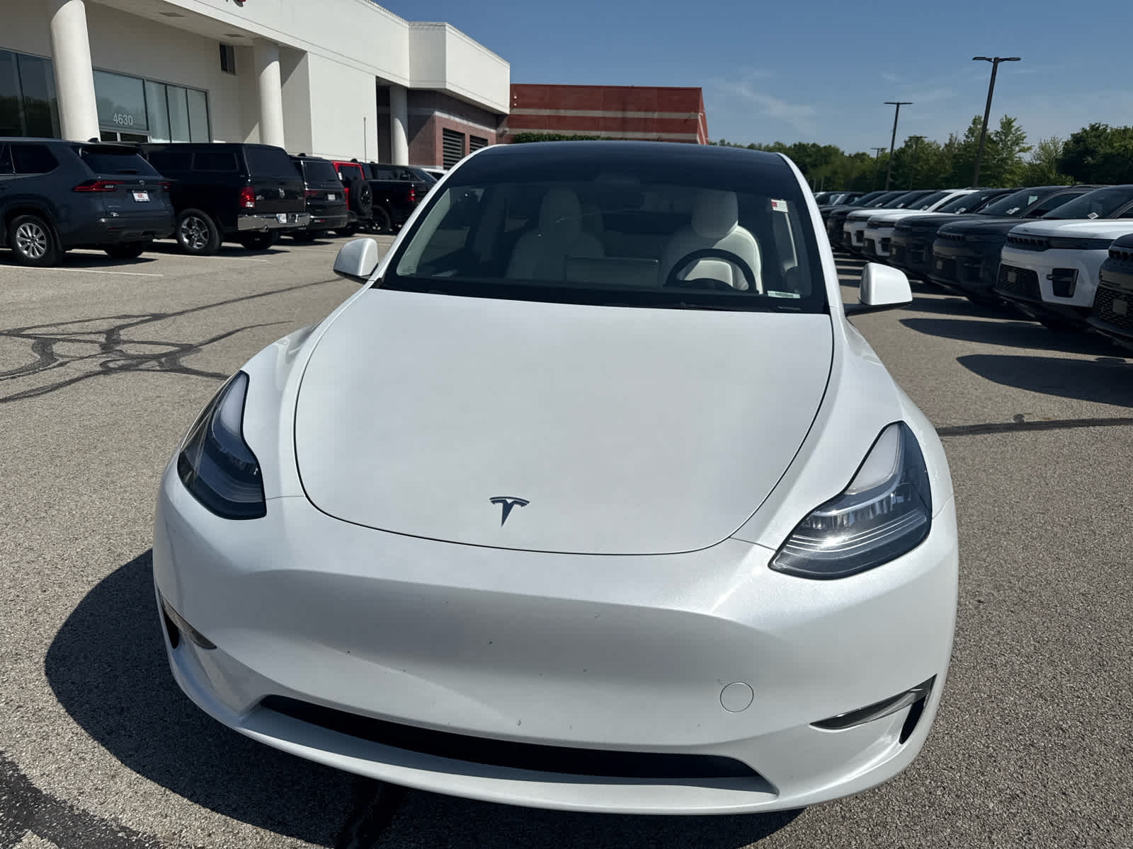 Used 2023 Tesla Model Y Long Range with VIN 7SAYGDEE0PF607556 for sale in Greenwood, IN