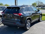 2025 Toyota RAV4 XLE AWD