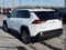 2025 Toyota RAV4 XLE AWD