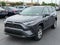 2025 Toyota RAV4 XLE AWD