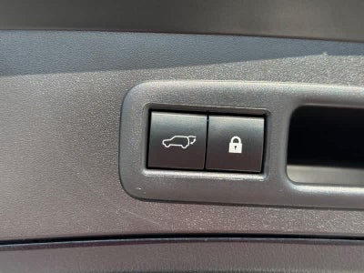 2021 Lexus UX UX 250h AWD