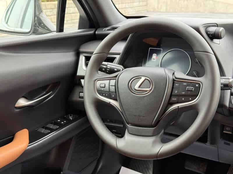 2021 Lexus UX UX 250h AWD