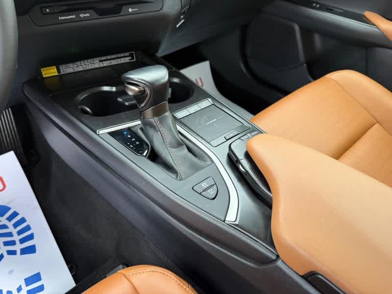 2021 Lexus UX UX 250h AWD