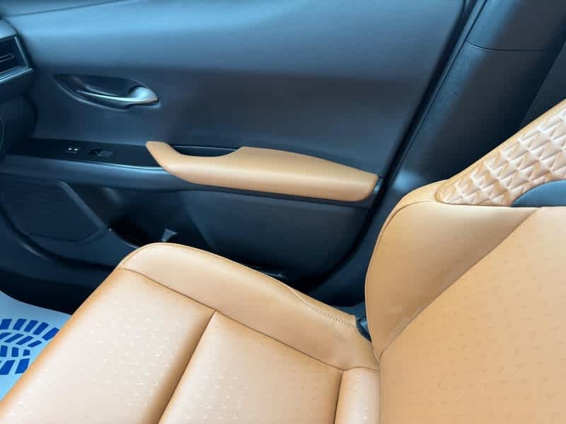 2021 Lexus UX UX 250h AWD