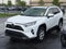 2019 Toyota RAV4 XLE AWD
